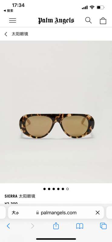 Picture of Palm Angels Sunglasses _SKUfw51977475fw